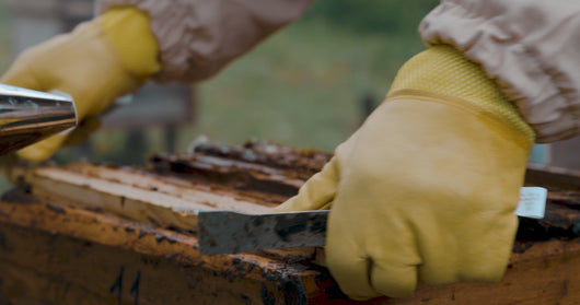 If beeswax smells smoky, it's likely because beekeepers use smoke to calm bees during hive inspections and honey harvesting, which can cause the wax to absorb the smoky scent. 