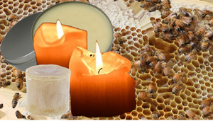 Local Beeswax | Cappings  | NJ